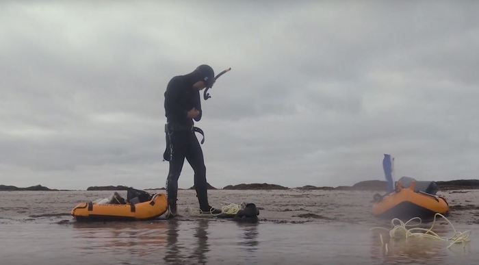 Måkläppen sandrevel vid Falsterbo