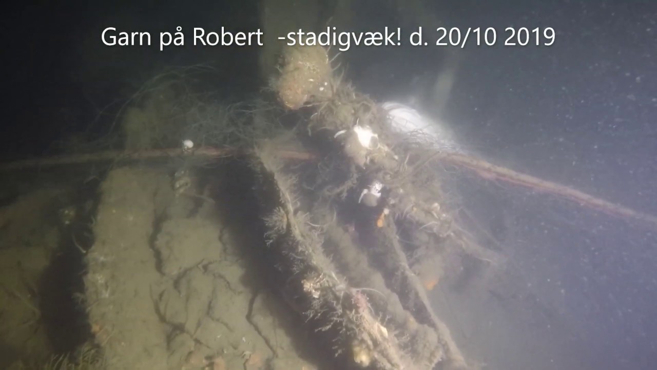 Vraket S/S Robert i Öresund